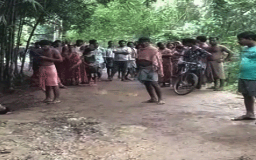 কী খুঁজে পেলেন ওঁরা? মুহূর্তে তোলপাড় জলপাইগুড়ি