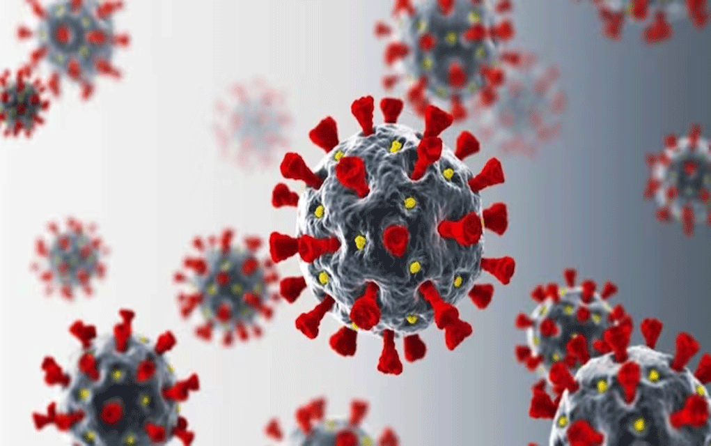 উদ্বেগ বাড়াচ্ছে করোনাভাইরাস।