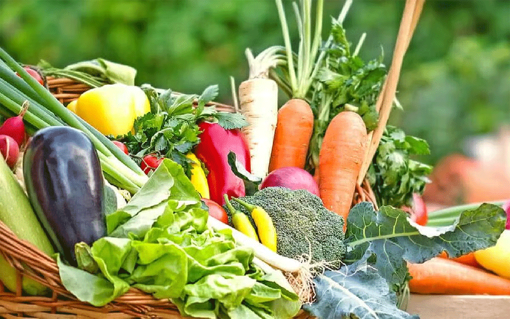 ক্যানসার পুরোপুরি আটকাতে পারে