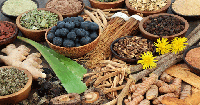 আধুনিক জীবনের অস্থিরতায় আয়ুর্বেদের প্রত্যাবর্তন